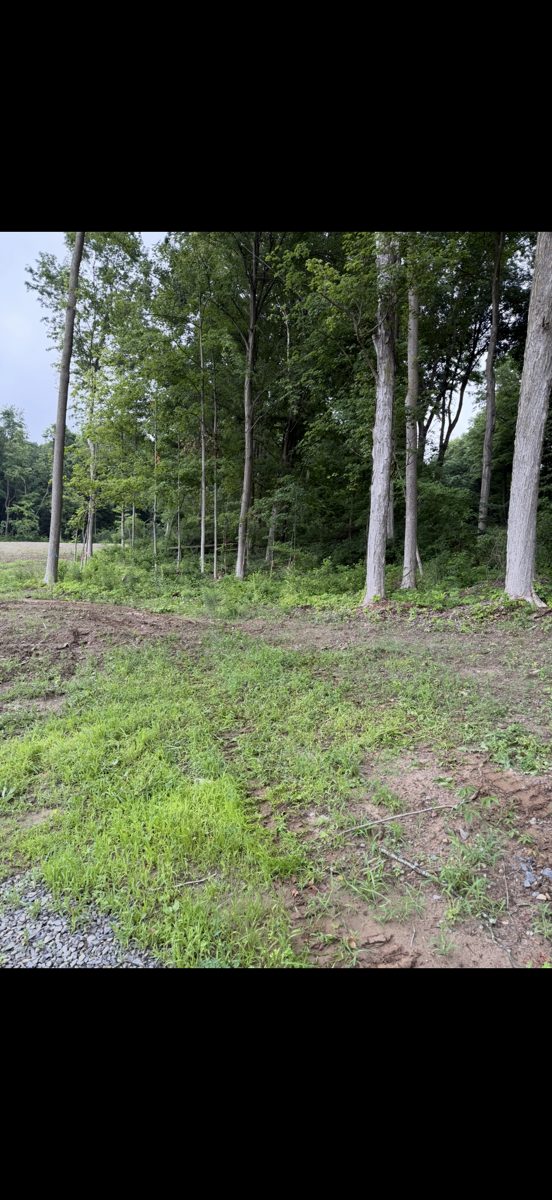 Wooded lot cleared and cleaned up by T&R Land Pros